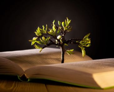 growing tree with green leaves from an open book